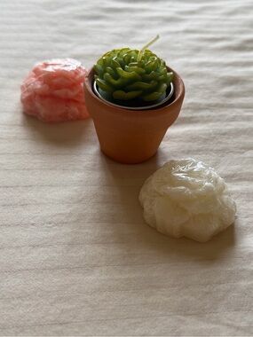 Mini potted plant candle